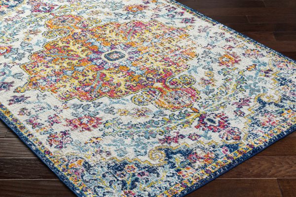 Livabliss Harput HAP-1000 Area Rug For Cheap - Image 3
