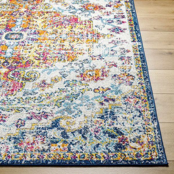 Livabliss Harput HAP-1000 Area Rug For Cheap - Image 4